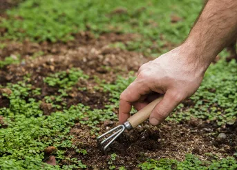 Planting in the EcoSustenance Lab